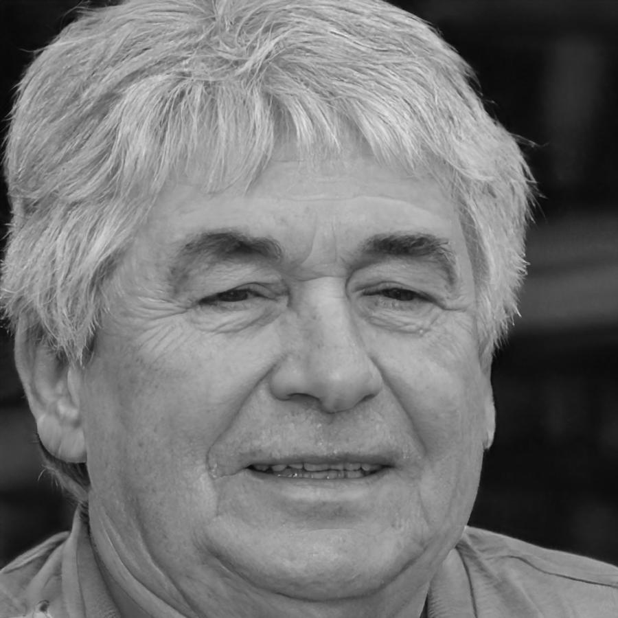 Ritratto di Marco Dallavalle